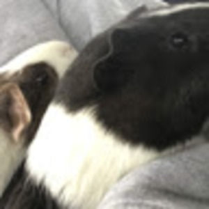 Meet your Posher, Tess